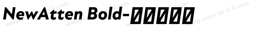 NewAtten Bold字体转换